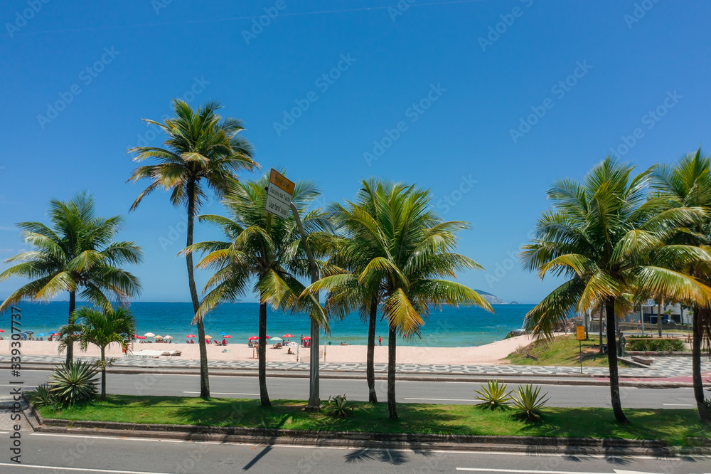 Palm trees on the street near Leblon beach in Rio de Janeiro