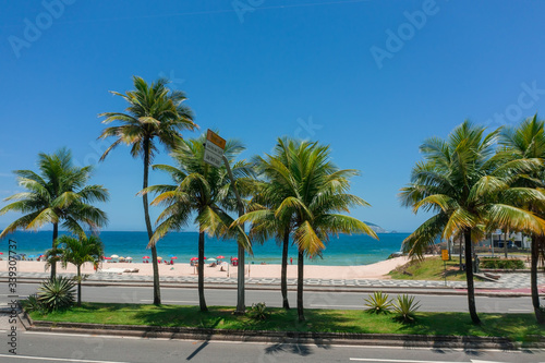 Palm trees on the street near Leblon beach in Rio de Janeiro © ADLC
