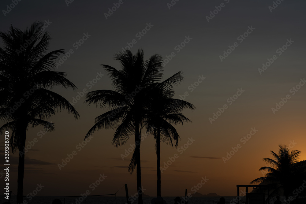 Palms over blue and orange sky after the sunset on the beach in Rio de Janeiro