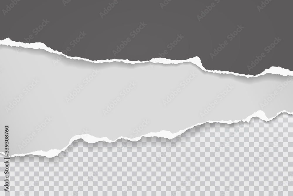Pieces of torn black and white horizontal paper with soft shadow stuck on squared background. Vector illustration