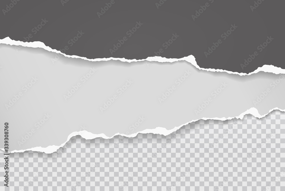 Pieces of torn black and white horizontal paper with soft shadow stuck on squared background. Vector illustration Pieces of torn black and white horizontal paper with soft shadow stuck on squared background. Vector illustration