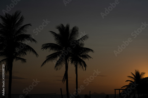 Palms over blue and orange sky after the sunset on the beach in Rio de Janeiro