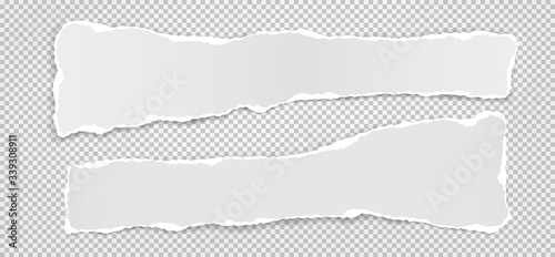 Pieces of torn white note, notebook paper with soft shadow stuck on squared background. Vector illustration