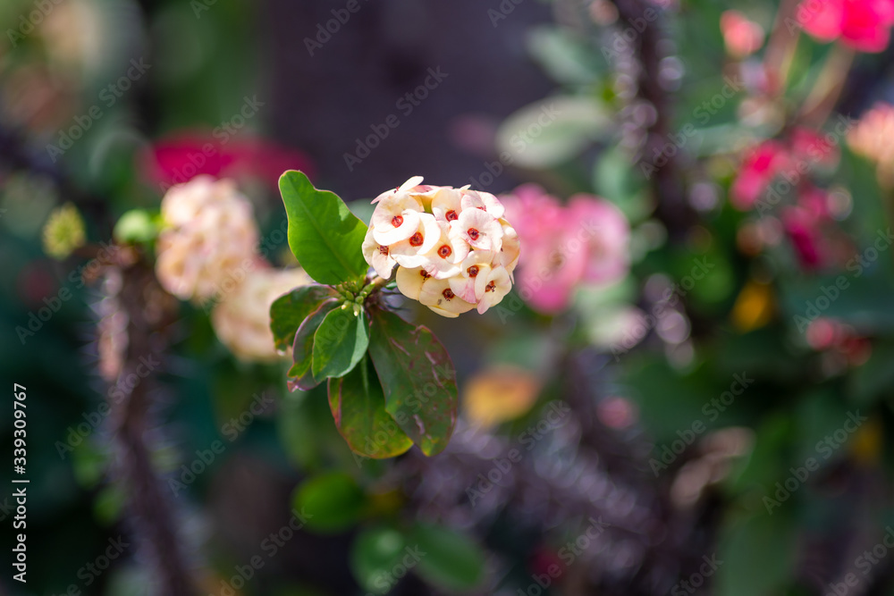pale yellow natural flower bouquet