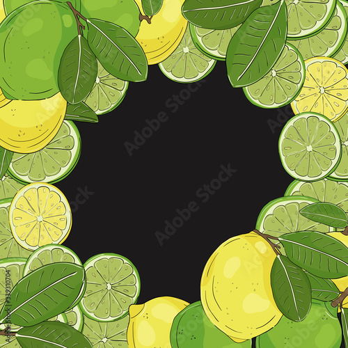 Citrus fruit frame2