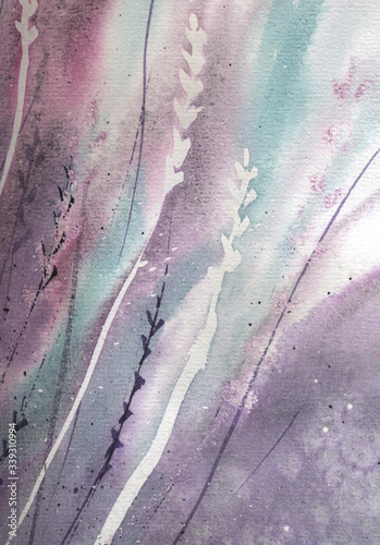 Lavender flowers watercolor illustration over white background. Medical and aroma lilac herb botanical drawing