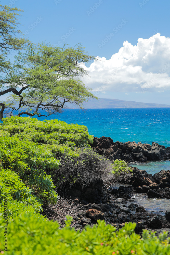 Blue Pacific Ocean with Lush Green Landscape and Volcanic Rocks in Wailea Maui Hawaii Blue Pacific Ocean with Lush Green Landscape and Volcanic Rocks in Wailea Maui Hawaii