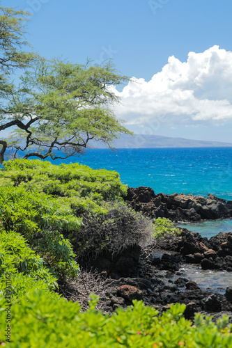 Blue Pacific Ocean with Lush Green Landscape and Volcanic Rocks in Wailea Maui Hawaii