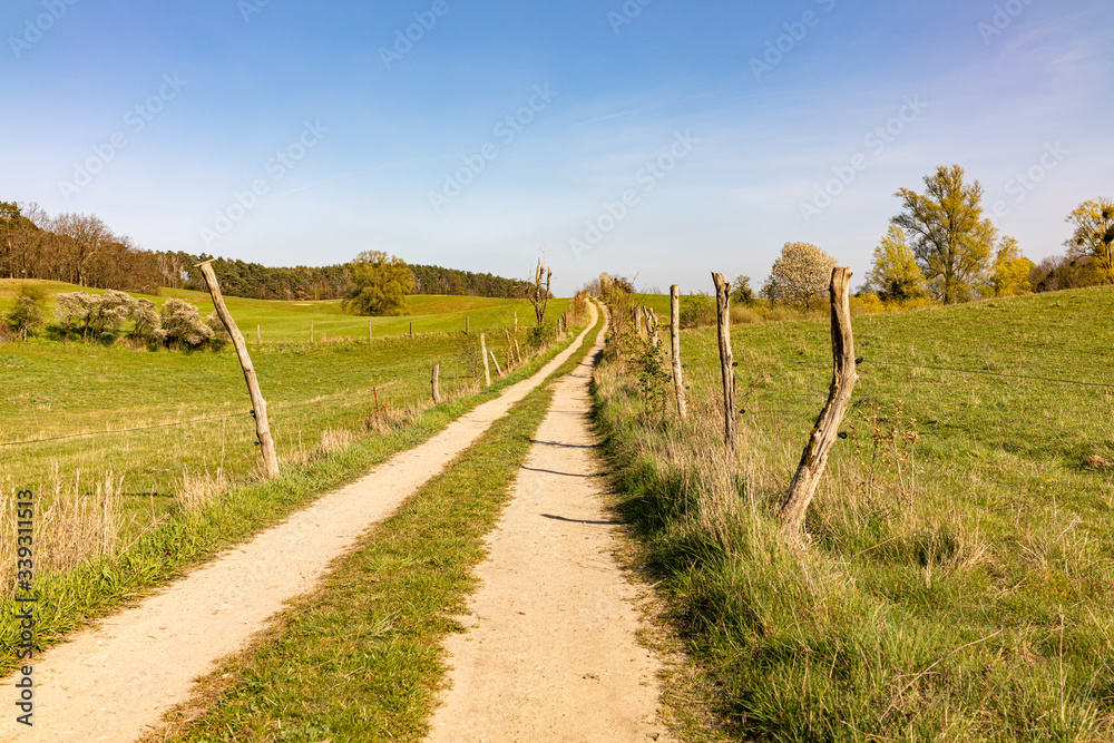 path into nature in spring