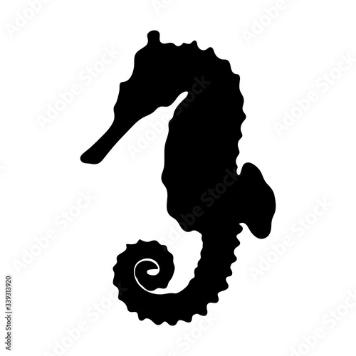 Sea horse silhouette
