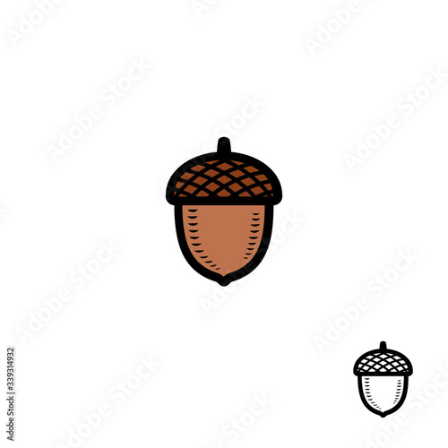 Acorns set. Collection icon acorns. Vector