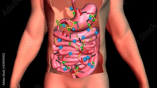 Human microbiome: Various Microorganisms, bacteria, viruses, microbes living in human stomach.  3d rendering  illustration