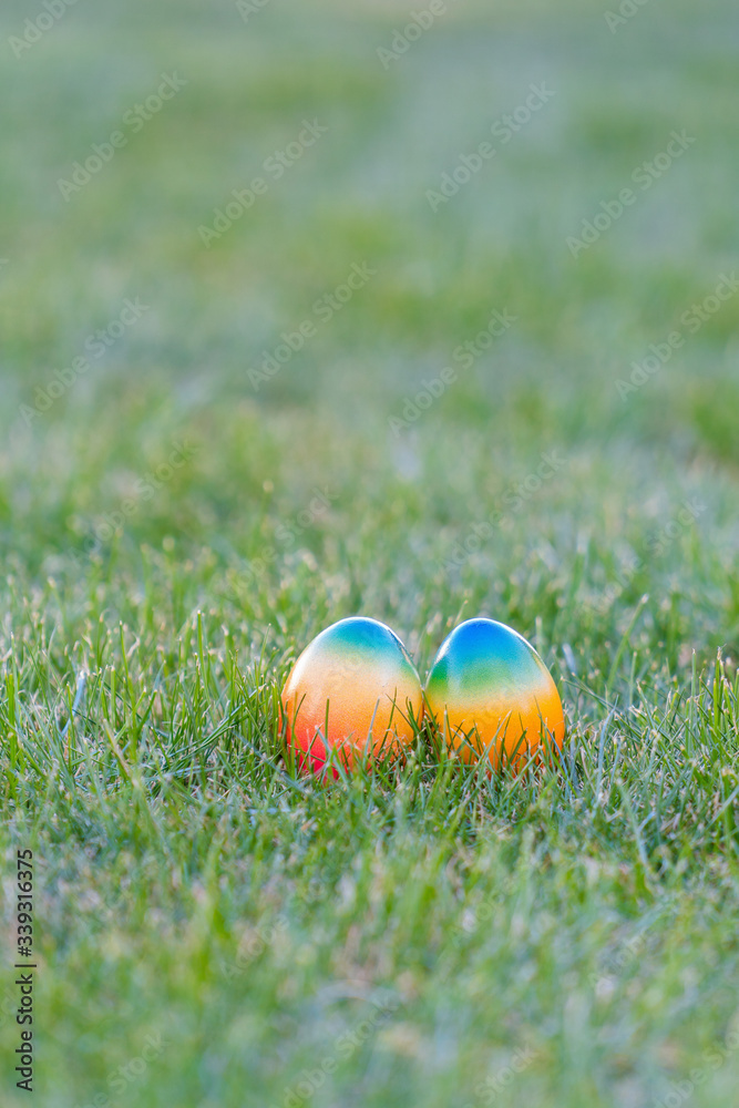 Fototapeta premium colorful easter eggs lying in the backyard grass. copyspace. isolated