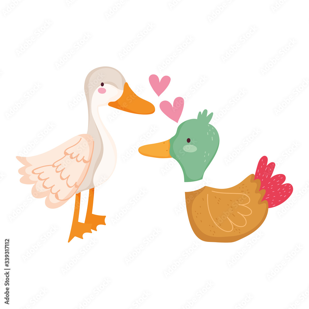 farm animals goose and duck love cartoon