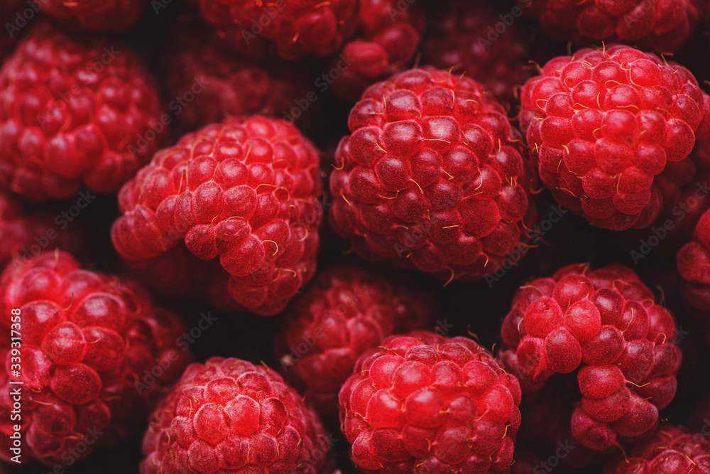 Freshly picked ripe red raspberries. Freshly picked ripe red raspberries.
