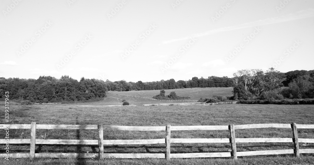 black and white country landscape with fence