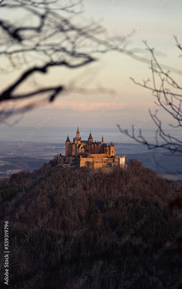 View of a German medieval castle through barren branches