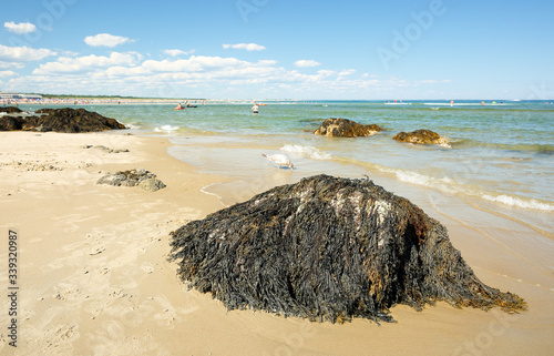 Ogunquit Beach on a Sunny Afternoon, Ogunquit, Maine, USA. Ogunquit was named by the Abenaki tribe, because the word means a beautiful place by the sea. photo