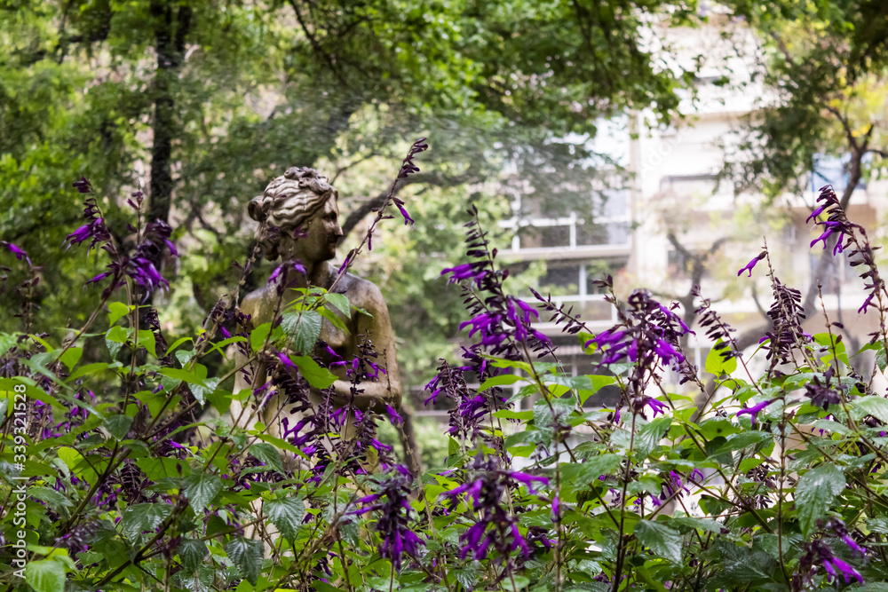 Nymph sculpture among lavender plants in bloom