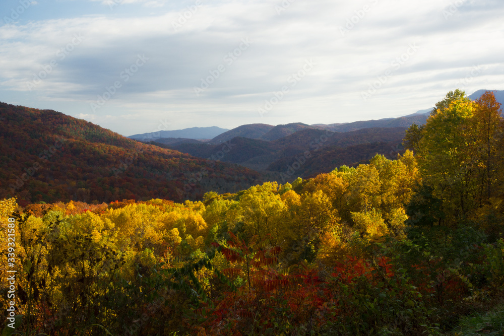 Fall Foliage in the Blue Ridge