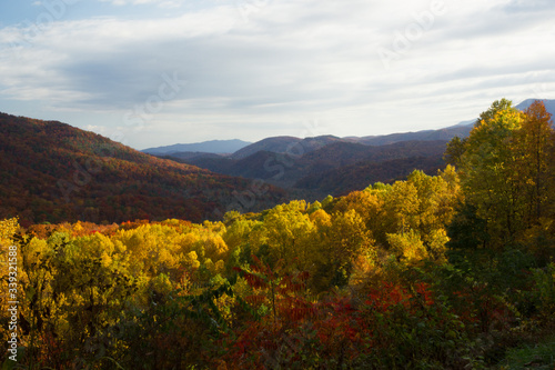 Fall Foliage in the Blue Ridge