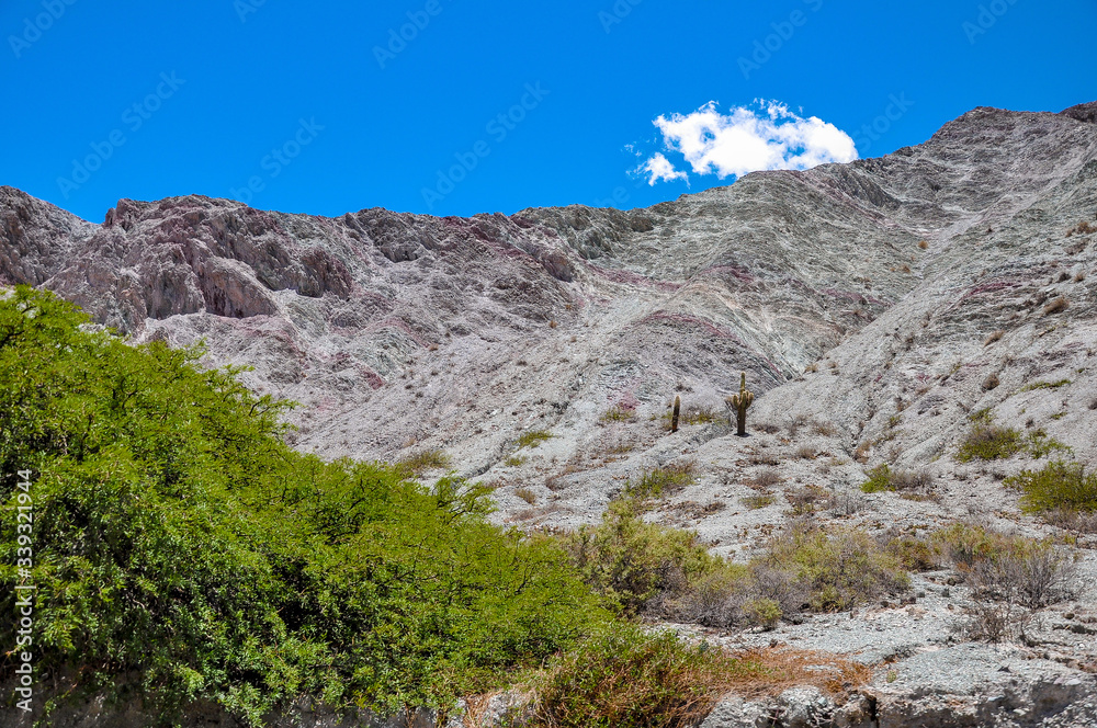 Mountains and cacti in the province of Salta in the northwest of Argentina
