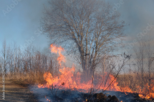Fire. Burning last year's dry grass with plenty of smoke could turn into a tragedy. © Александр Овсянников