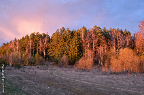 Landscape. Early spring. A country road leading to the forest illuminated by sunlight during sunset.