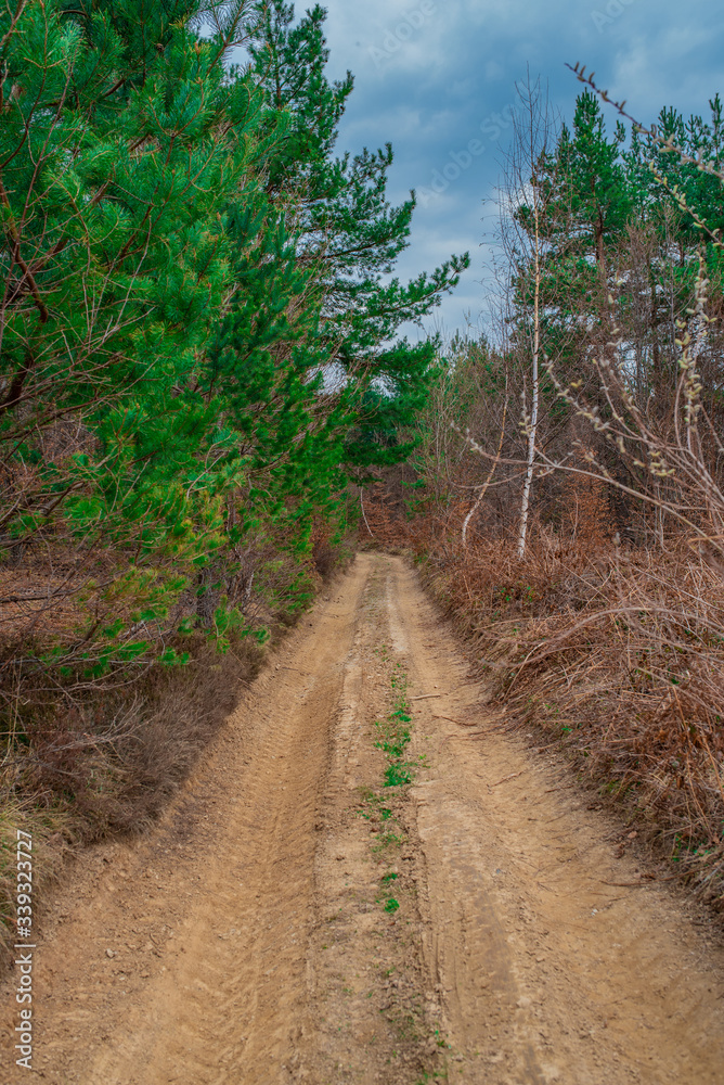 The country or gravel road in the middle of the wild 
