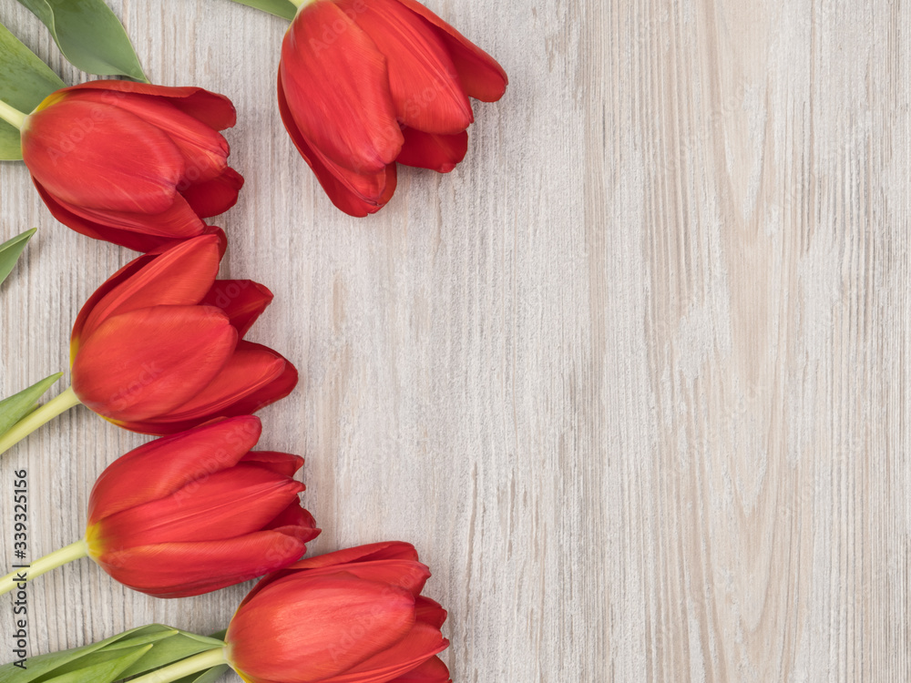 Red tulips on wooden background. Flowers for women.