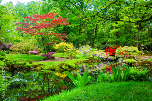 Photography amazing view in japanese garden in the Hague