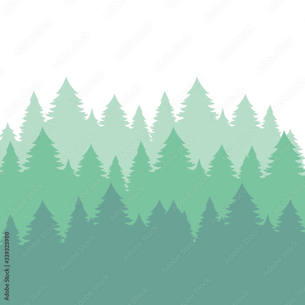 Background of fir trees