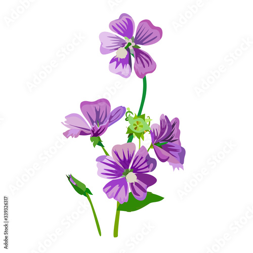 Vector graphics. Flowers and a Bud on a branch, greenery, leaf.