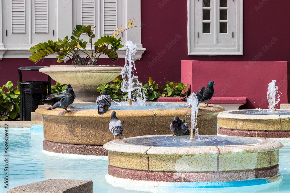 BIRDS ON THE WATER FOUNTAIN