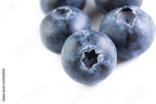 fresh large blueberry
