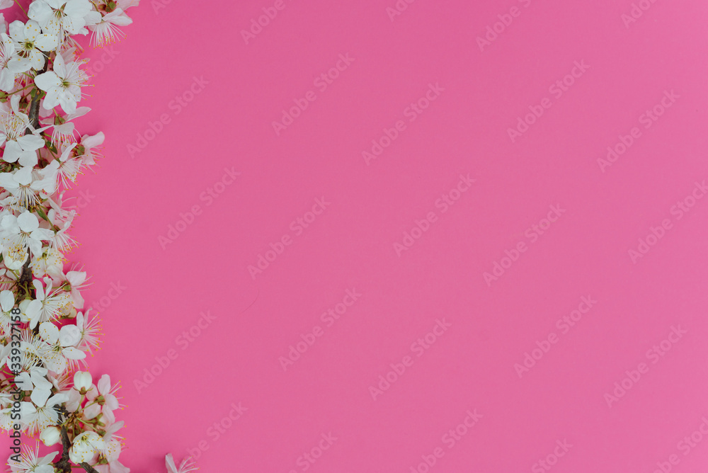 photo of spring white cherry blossom tree on pink background. View from above, flat lay, copy space. Spring and summer background. photo of spring white cherry blossom tree on pink background. View from above, flat lay, copy space. Spring and summer background.
