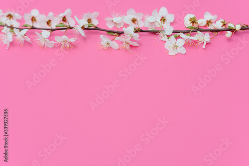 Beautiful gentle spring twigs with white flowers on a pink background top view flat lay with space for text. Greeting card with delicate flowers Pink floral background. © Serhii