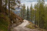 Mountain trail on the Mount Lussari (East Alps, Italy)