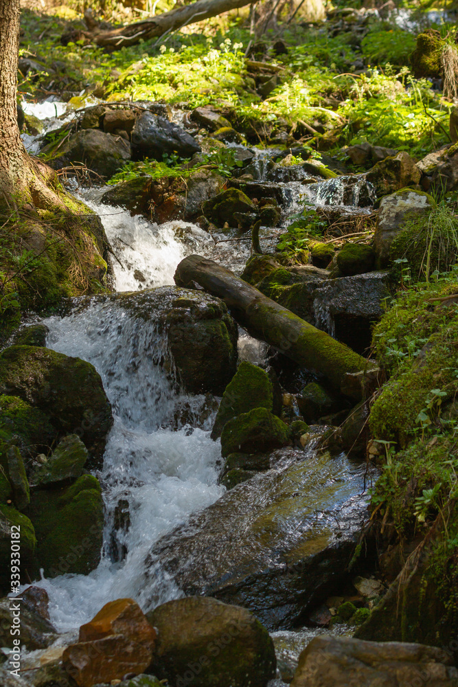 Fototapeta premium Little waterfall along an alpine trail