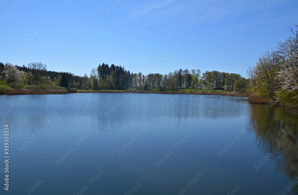 Brauweiher bei Weisslingen, Kanton Zürich Brauweiher bei Weisslingen, Kanton Zürich