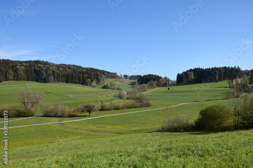 Landschaft am Tämbrig bei Gündisau, Gemeinde Russikon, Zürcher Oberland, Kanton Zürich