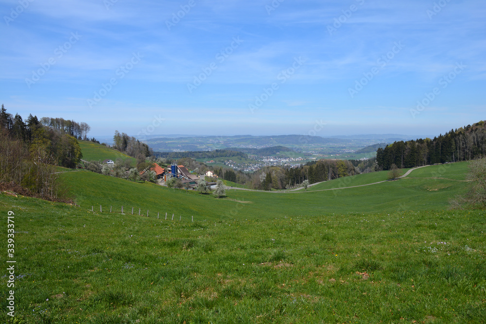 Panorama bei Geretswil am Schauenberg, Gemeinde Hofstetten, Kanton Zürich