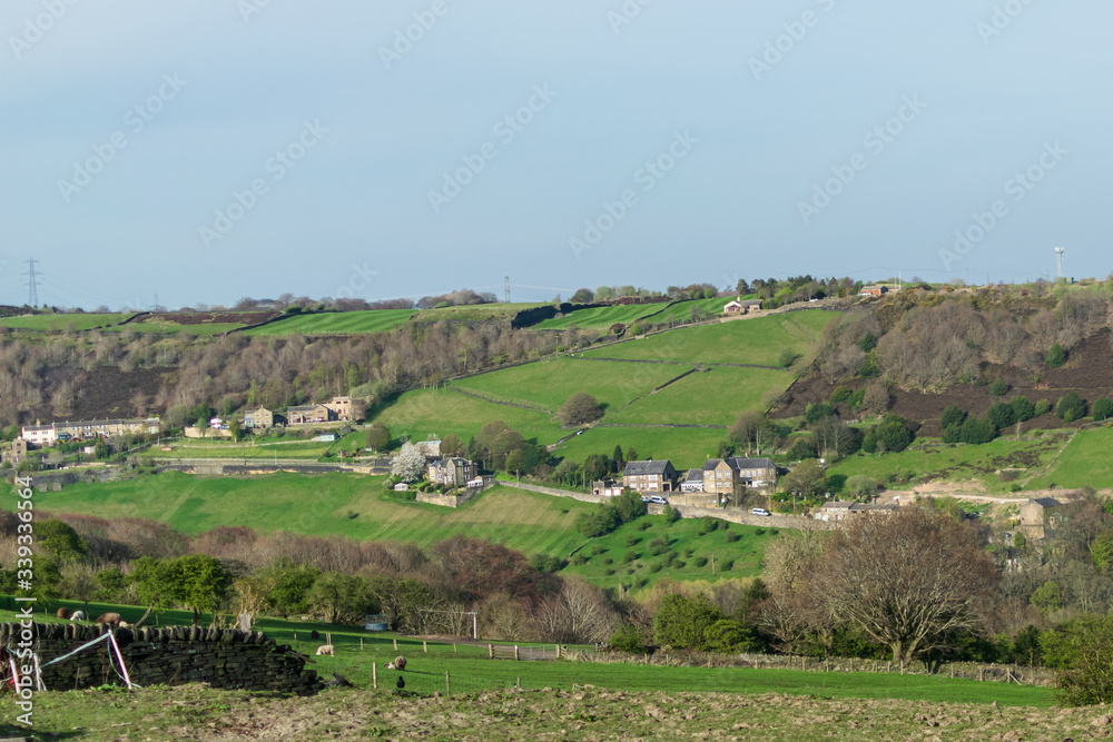 rural landscape with cows in the background