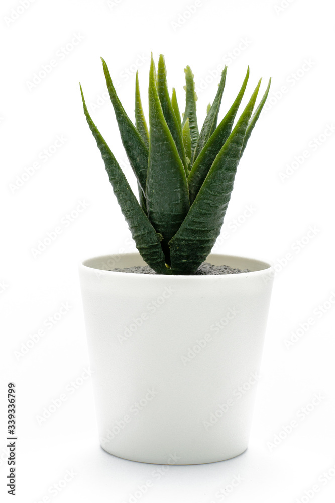 Fake plant in a pot isolated on a white background. Interior decoration. Fake plant in a pot isolated on a white background. Interior decoration.