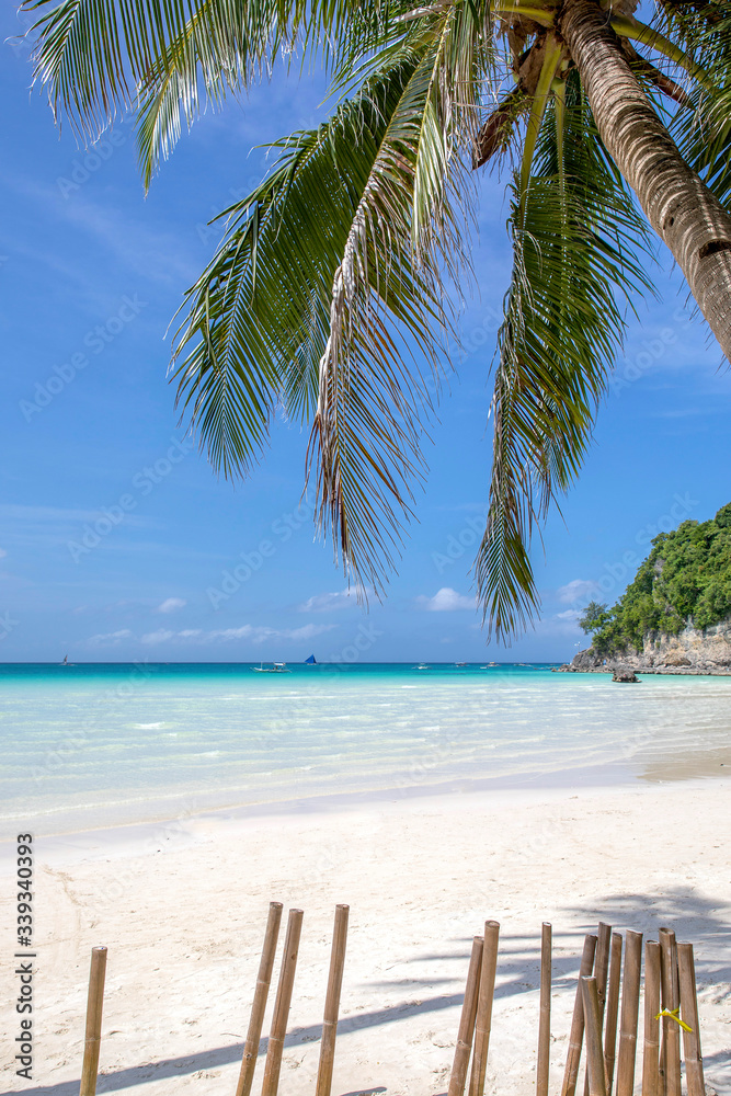 White Beach and Palm Tree, Boracay island, Philippines.