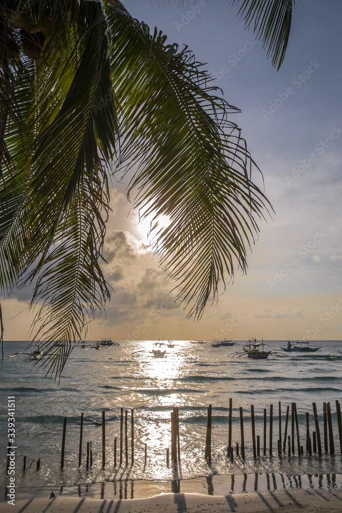 White Beach and Palm Tree, Boracay island, Philippines.