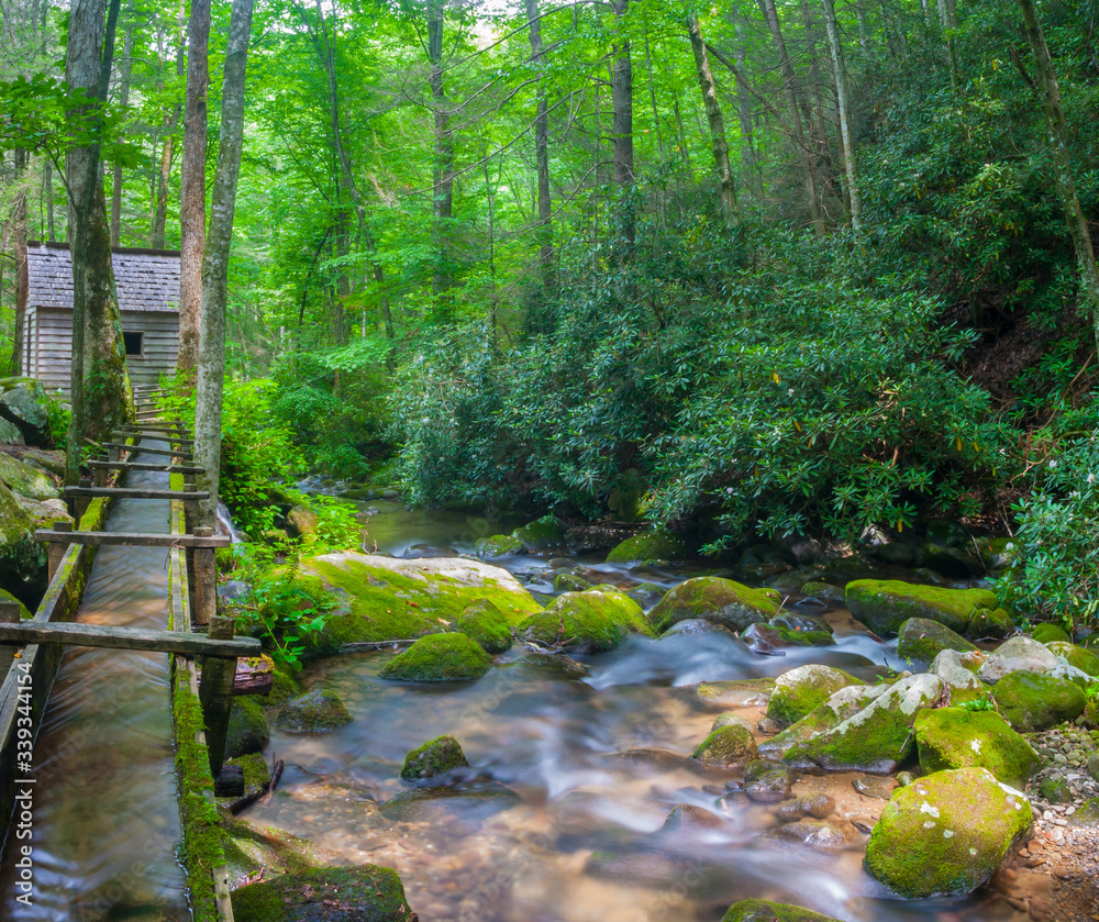 Obraz premium The Reagan Tub Mill On The Roaring Fork, Great Smoky Mountains National Park, Tennessee, USA