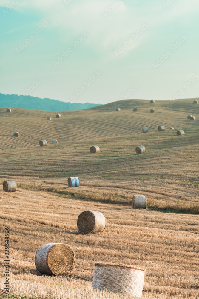 Fototapeta premium tuscan view in the area of val dorcia in italy