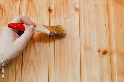Paint coating and protection of wooden surfaces. A brush in the hand of a worker who covers a wooden wall made of pine center-beaded board with varnish for interior work, with copy space