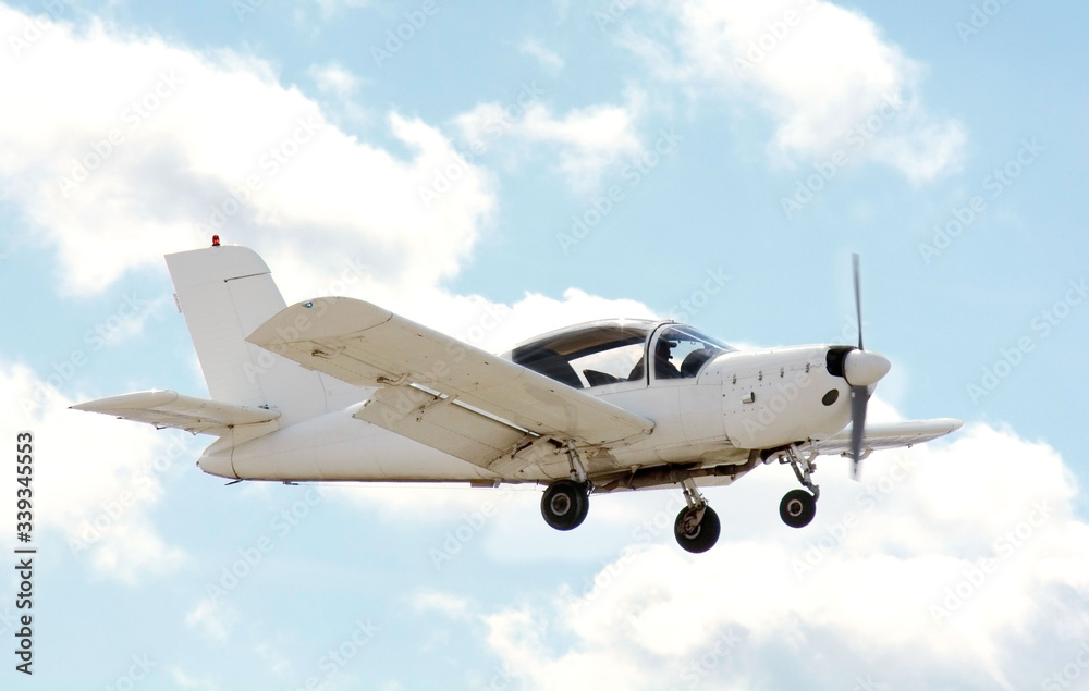 Obraz premium the plane is flying